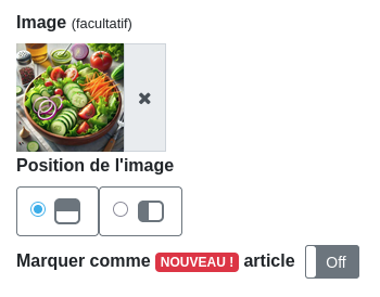 Fenêtre « Ajouter un article » — champ « Image »